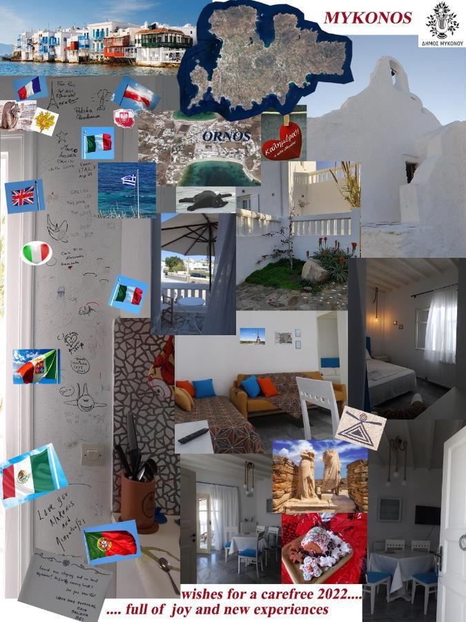 Mykonos Ornos Turquoise Home エクステリア 写真
